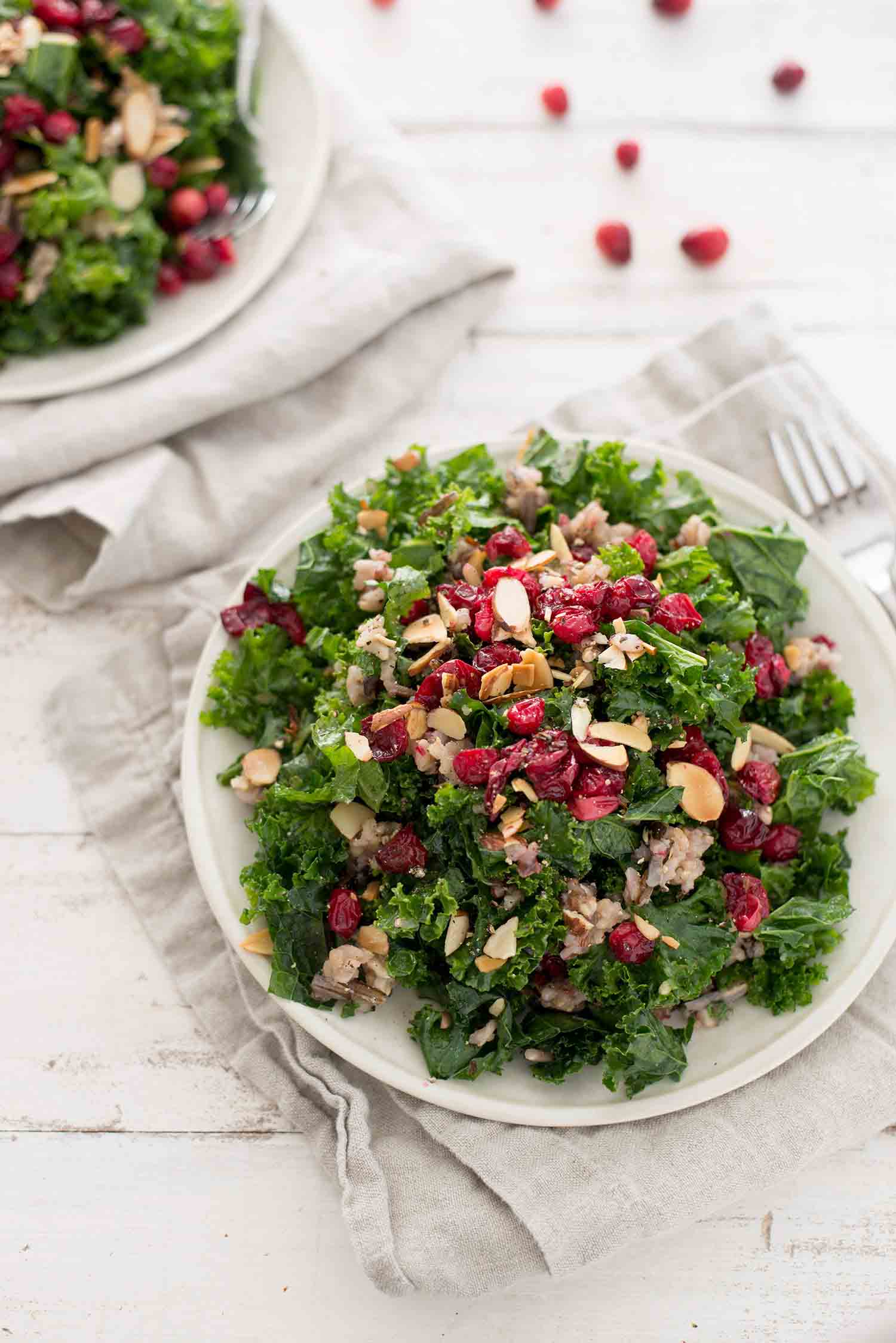 Roasted-Cranberry-Wild-Rice-and-Kale-Salad