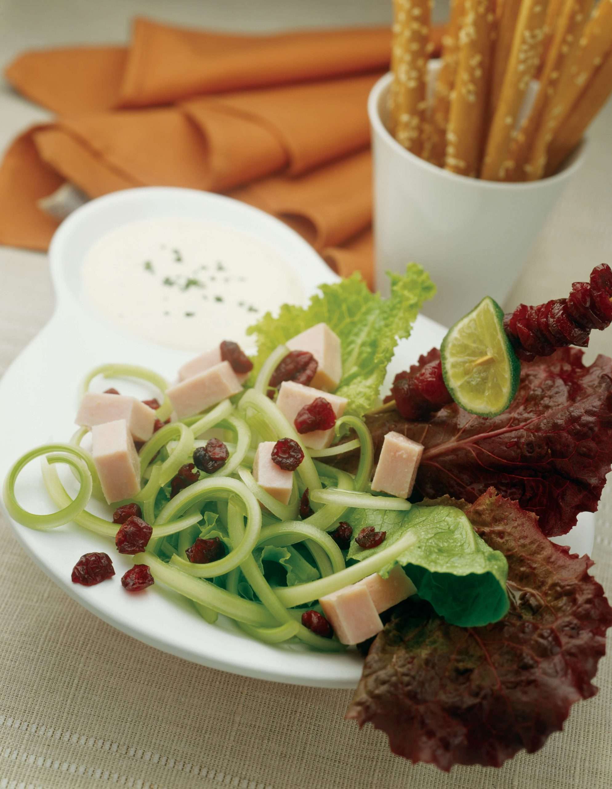 Salad-Cranberryandturkeysalad